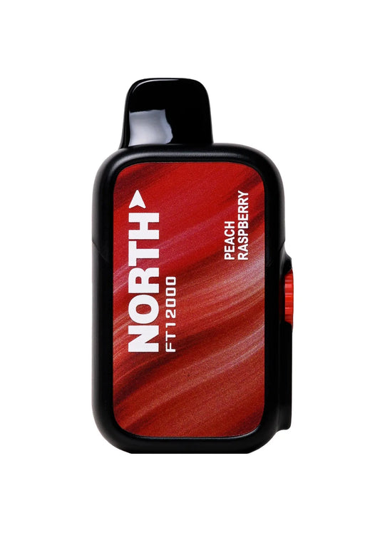 North FT12000 Disposable