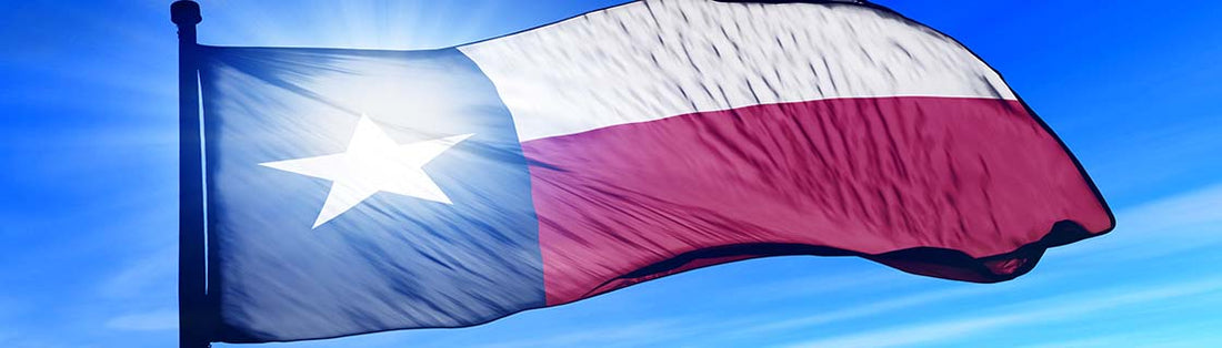 Texas-Compliant Disposables Explained: 2026 SB 2024 Guide