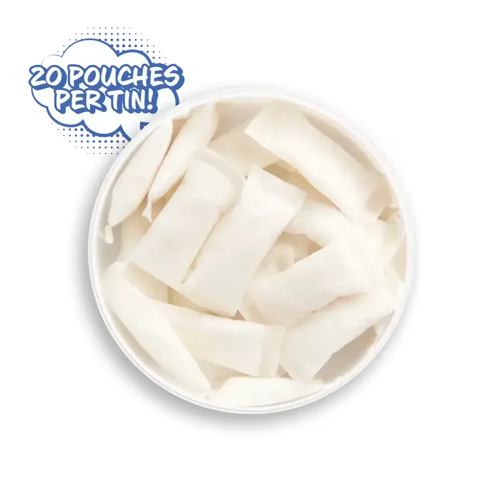 Chilled Mint - ALP Nicotine Pouches - 20ct