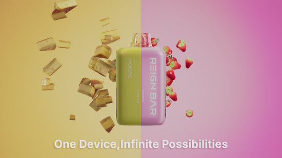 REIGN BAR Palette 50K Disposable